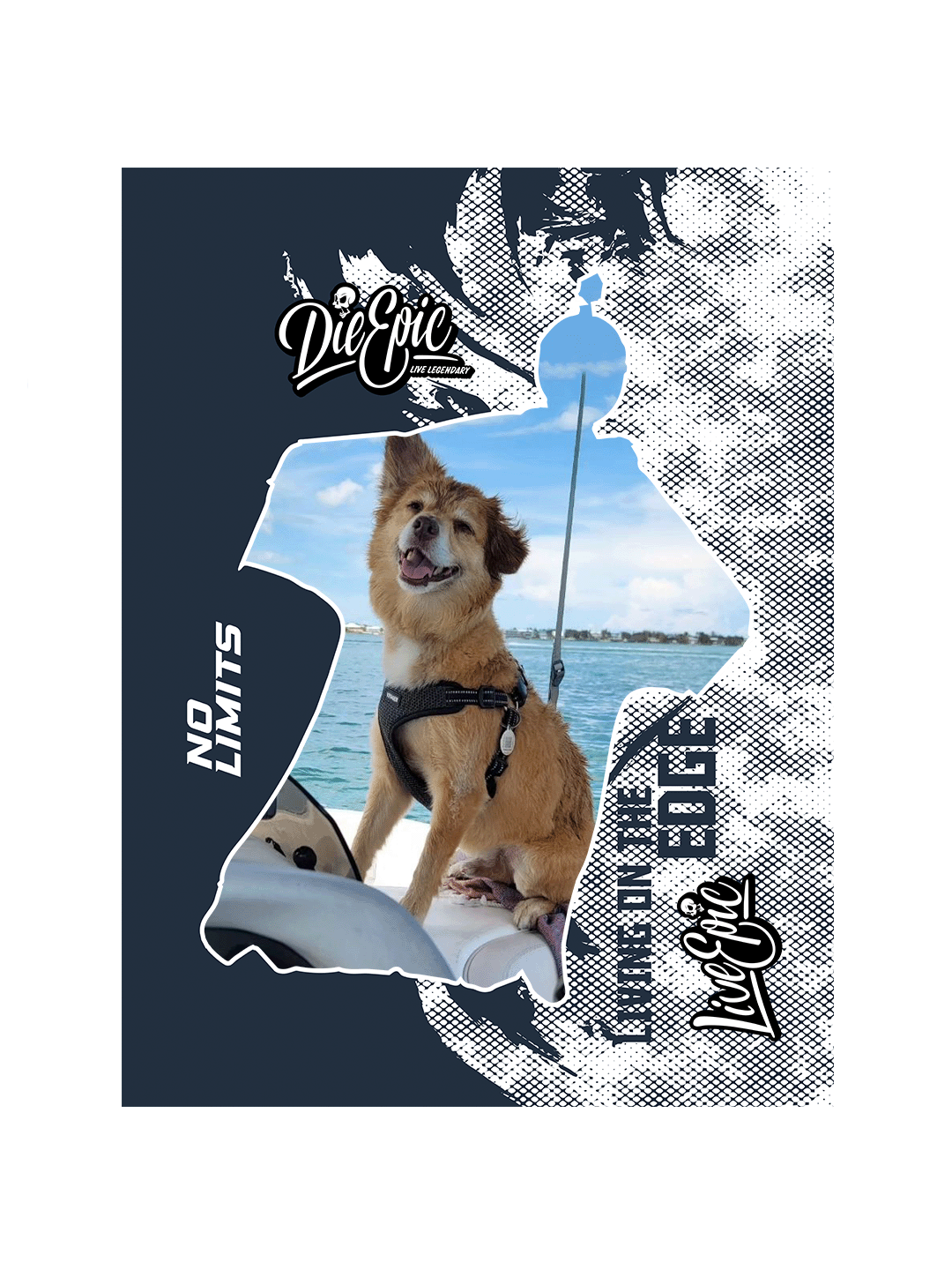 [USA ONLY] ADD PICTURE Wingsuit Blue Texture Plush Fleece Blanket 60x80