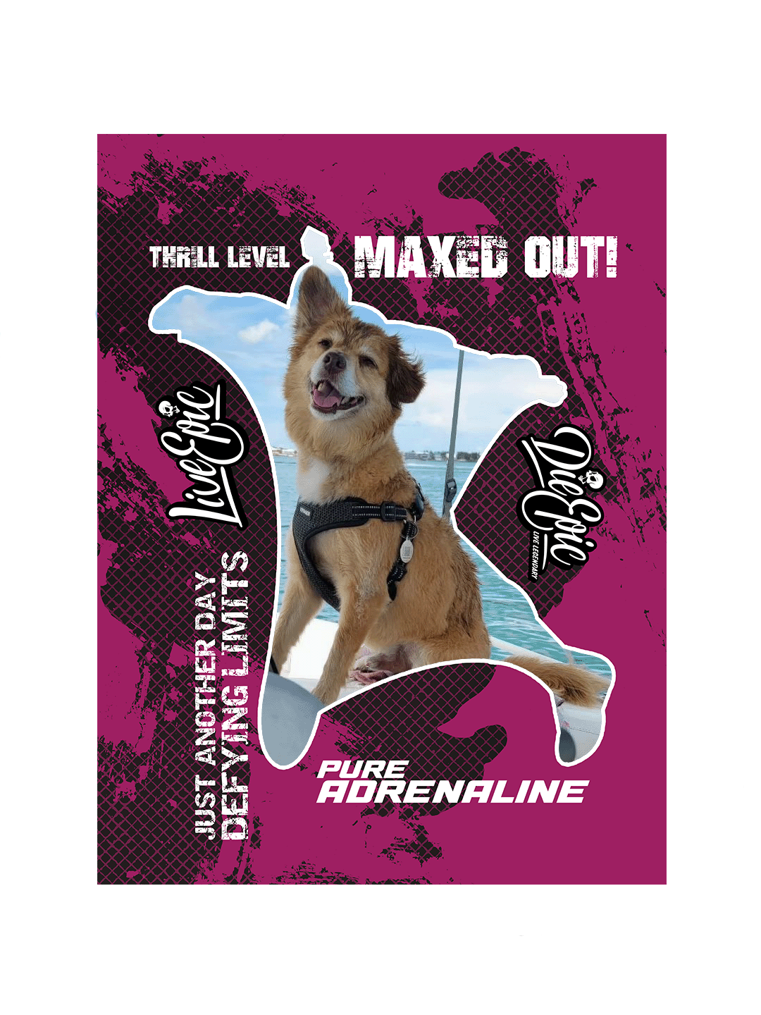 [USA ONLY] ADD PICTURE Wingsuit Pink Texture Plush Fleece Blanket 60x80