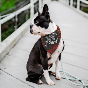 Live Epic Skydive National Dog Day Bandana